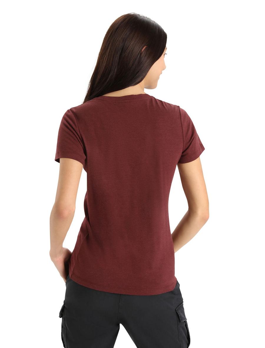 Espresso Women's Icebreaker Merino Central Classic Short Sleeve T Shirts | USA 1564SGLO